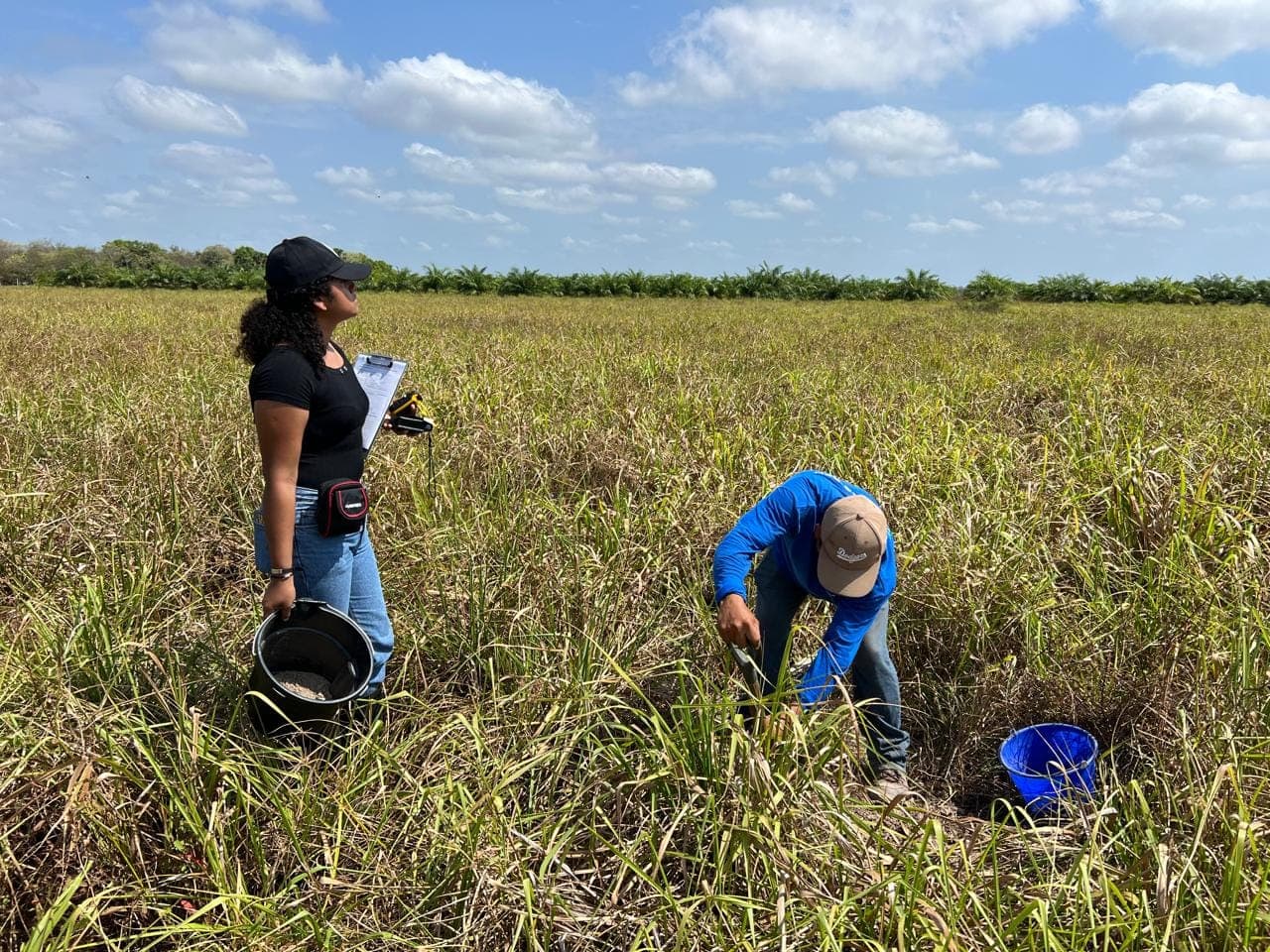 Diseño y Monitoreo IoT