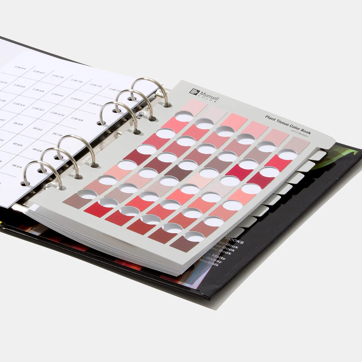 Libro de Color Munsell para Plantas y Tejidos Vegetales - miniatura 2