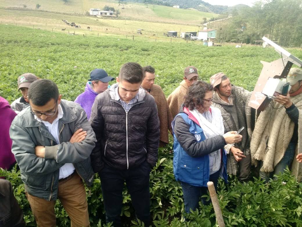 Instalación de Sistema de Monitoreo Climático – FAO - imagen 3